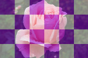 Photograph with superimposed chess board with purple-white color