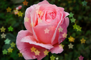 Bokeh effect, stars