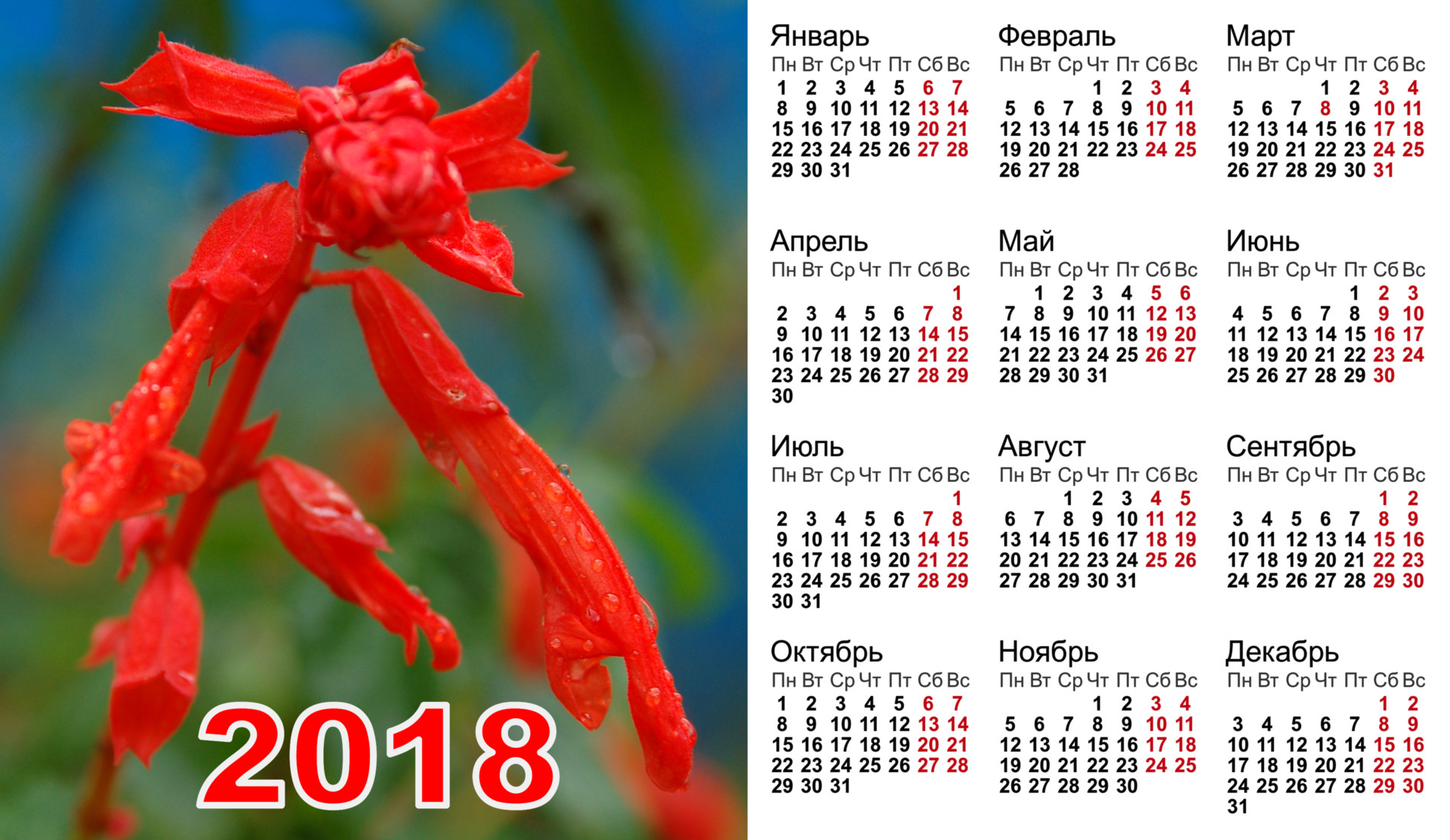 Календарь 2018 праздником. Календарь. Календарь 2018. Календарь на год. Календарь по месяцам.