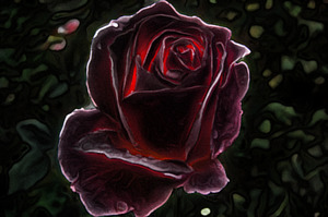 Тёмная сказочная роза