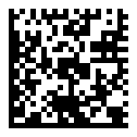DataMatrix code with a link to this site DataMatrix code example
