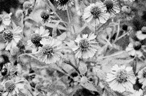 Drawing simple pencil effect