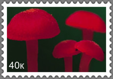 Эффект почтовой марки на основе фотографии