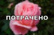 Текст в стиле "ПОТРАЧЕНО" из игры GTA Текст потрачено из игры ГТА