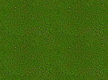 Seamless texture of grass after processing